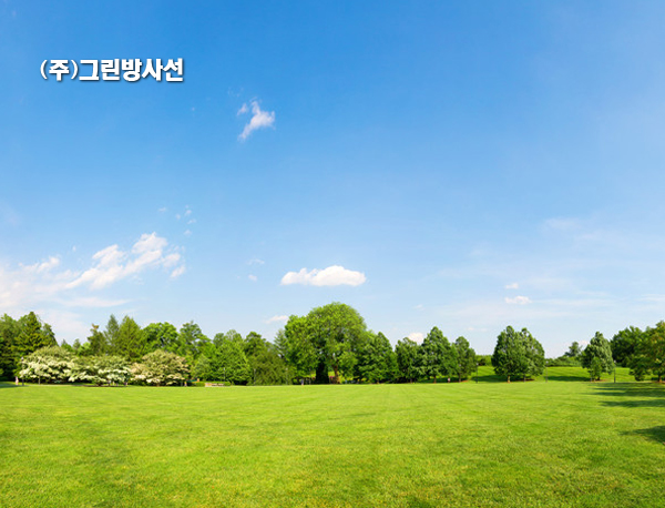 대전홈페이지제작업체 NO.1 대전웹 포트폴리오 6